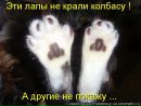 Вікторія Крук фотография #45 (источник - https://vk.com/id152455433)