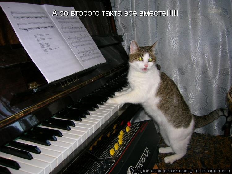 Дмитрий Михалев фотография #46