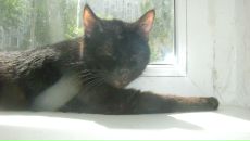 Фотография Фомина Ивана