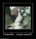 Сергій Старух фотография #31 (источник - https://vk.com/id162732006)