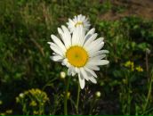 Фотография Кичевой Натальи