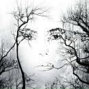 Фотография Коршуновой Ольги