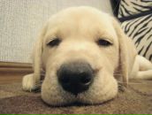 Фотография Герасимовой Иды