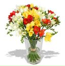 Anna Kuznetsova фотография #1