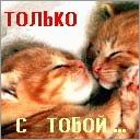 Діана Клим фотография #22 (источник - https://vk.com/id165758883)