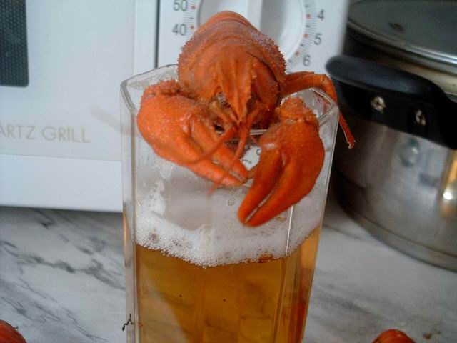 Дмитрий Гуляев фотография #33