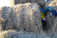 Фотография Бимакова Евгения