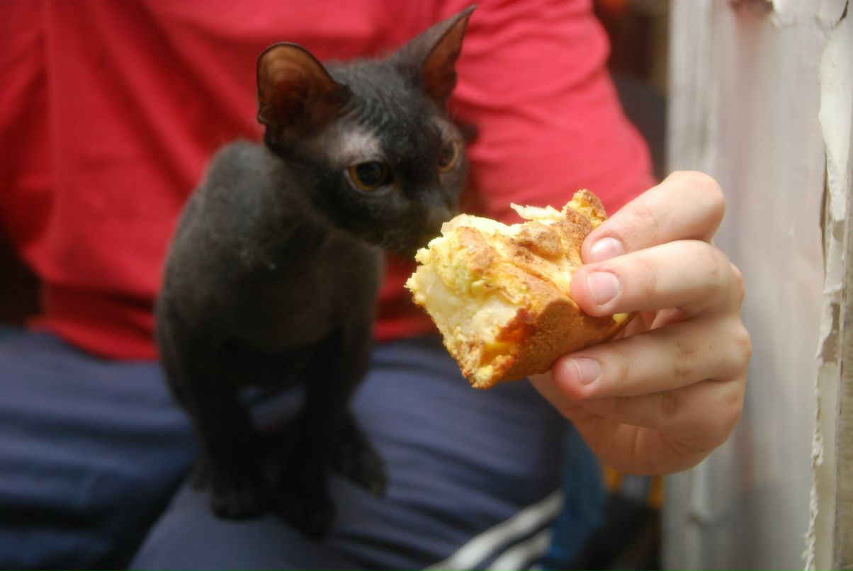 Даниил Стариченко фотография #31