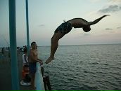 Сергей Пушка фотография #31 (источник - https://vk.com/id30922)