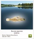 Катя Семенів фотография #22 (источник - https://vk.com/id150644712)
