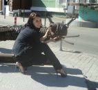 Фотография Вшивковой Евгении