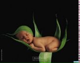 Фотография Федотовой Екатерины