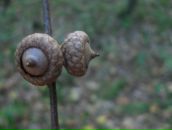 Віталій Панасюк фотография #44 (источник - https://vk.com/id67183575)