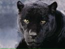 Фотография Андрей Коваленко
