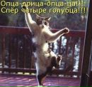 Дашутка Бабікова фотография #11 (источник - https://vk.com/id165368244)