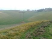 Міша Ігнатюк фотография #32 (источник - https://vk.com/id59334178)