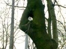 Мария Черненко фотография #28 (источник - https://vk.com/id1372515)