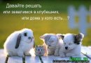 Андрій Львов фотография #44 (источник - https://vk.com/id28441248)