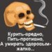  фотография #10