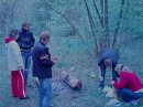Павлік Боровик фотография #18 (источник - https://vk.com/id62819740)