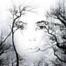 Илья Дериев фотография #19 (источник - https://vk.com/id23856418)