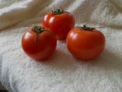 Фотография Лапиной Веры