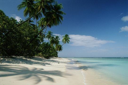 №3, Игорь Петров №3, Игорь Петров