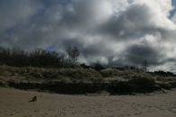 Анна Брагина фотография #22 (источник - https://vk.com/id230231)