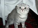 Шевчук Сергій фотография #15 (источник - https://vk.com/id20495548)