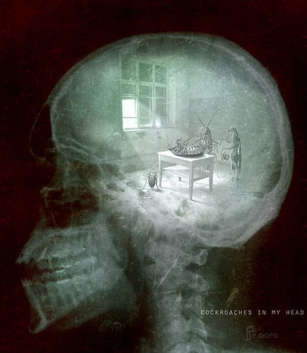 Мак Шейн фотография #29