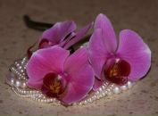 Фотография Новиковой Надежды