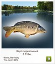 Вася Іщук фотография #24 (источник - https://vk.com/id132790568)