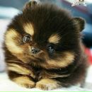 Оля Ківінська фотография #42 (источник - https://vk.com/id203188097)