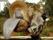 Христина Куцір фотография #3 (источник - https://vk.com/id19688618)