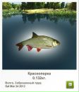 Марік Закревський фотография #44 (источник - https://vk.com/id138988682)