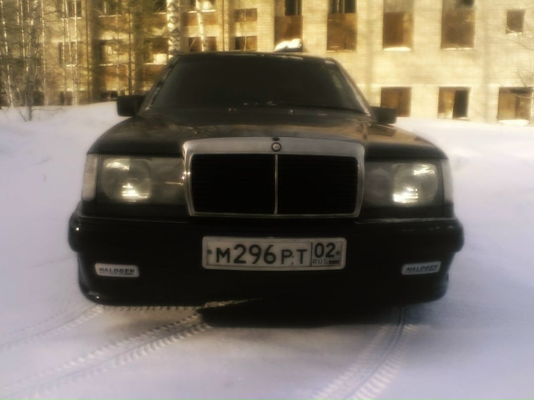 Альберт Елин фотография #27