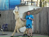 Фотография Носача Андрея