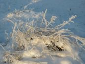 Степан Шадрин фотография #30 (источник - https://vk.com/id8910732)