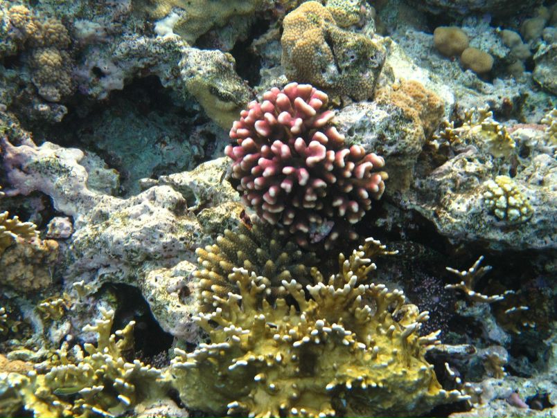 Борис Кишкилев фото №24