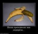 Фотография Дегтярёва Артёма