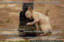 Фотография Михайловой Светланы