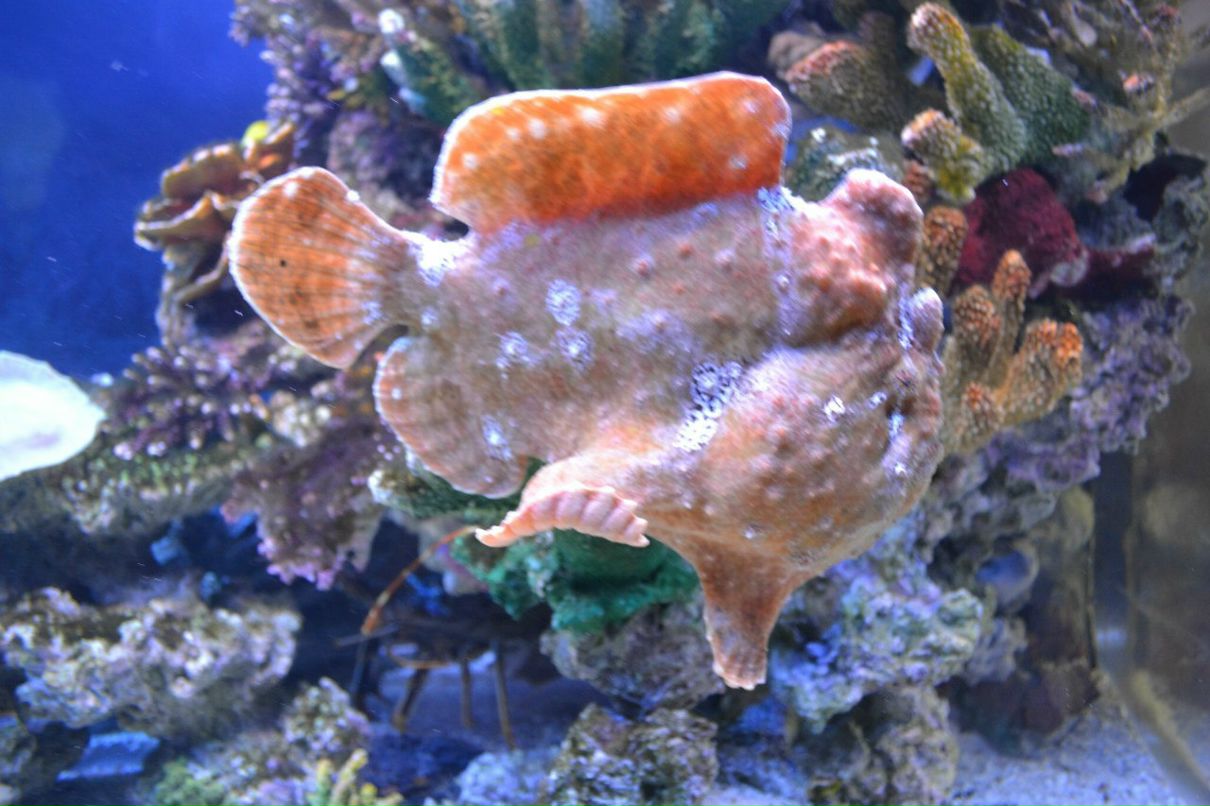 Иван Сотников фотография #32