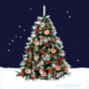 Сергій Бір фотография #15 (источник - https://vk.com/id147327481)