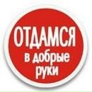 Саша Білик фотография #37 (источник - https://vk.com/id137173744)