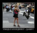 Владимир Поляков фотография #43 (источник - https://vk.com/id6948272)