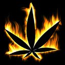 Богдан Олексієнко фотография #33 (источник - https://vk.com/id148041093)