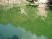 Ігор Носалюк фотография #5 (источник - https://vk.com/id33754899)