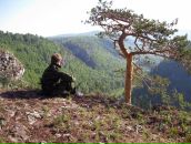 Сергей Левин фотография #29 (источник - https://vk.com/id4060997)