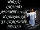 Фотография Войкин Андрей