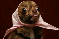 Фотография Матрениной Илоны